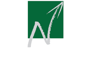 Nafpliotis Group