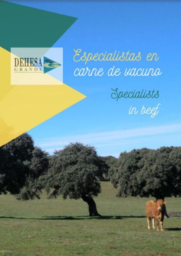 Quality Beef fro Spain Dehesa Grande - Nafpliotis Group